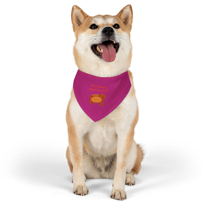HotDog Pet Bandana Collar #HD4