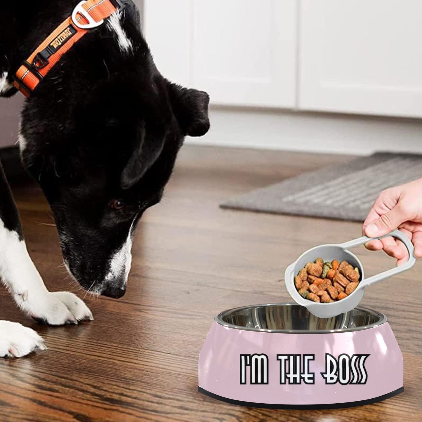 I'm The Boss Pet Bowl Pet Bowl
