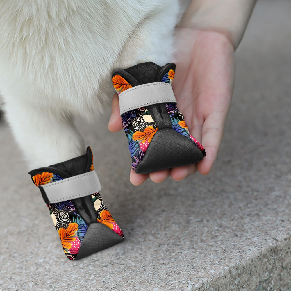 Dog Boots & Paw Protectors