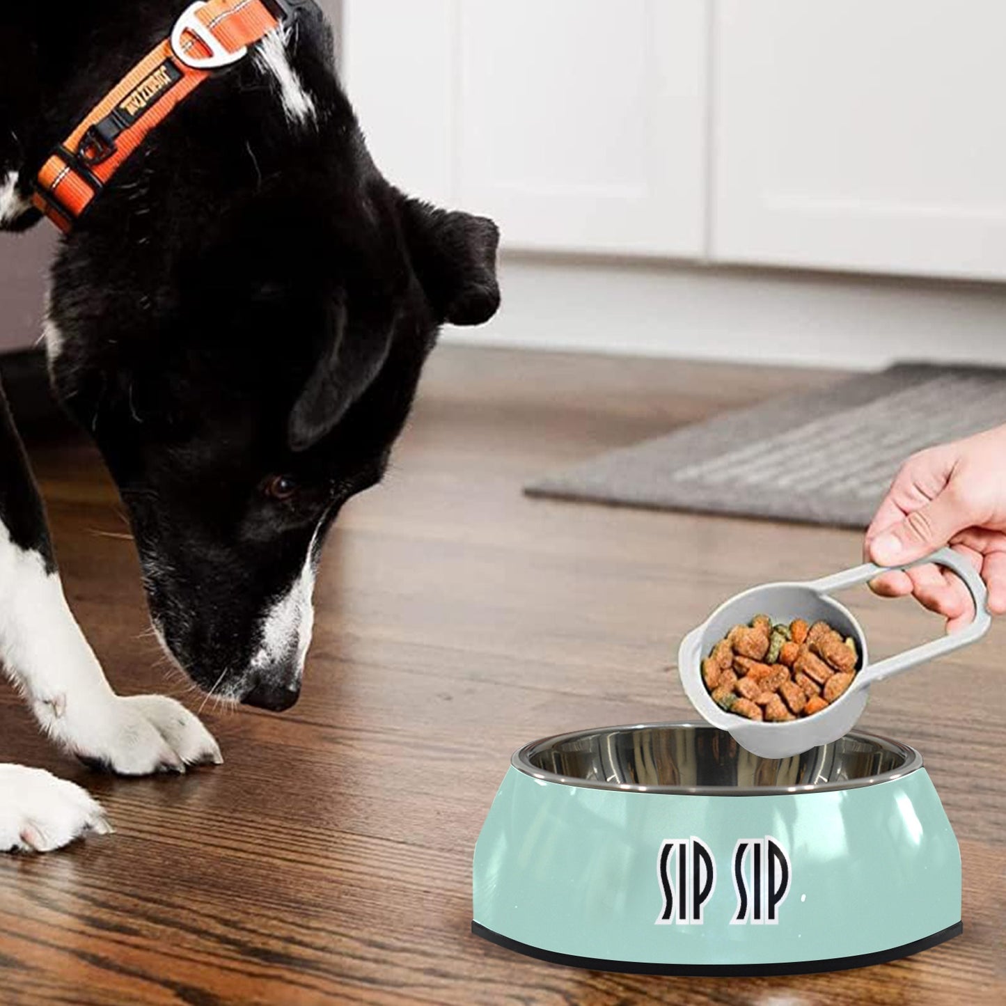 Sip Sip Pet Bowl Pet Bowl