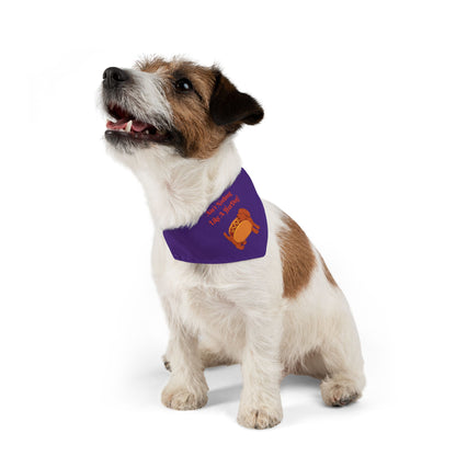 HotDog Pet Bandana Collar #HD3