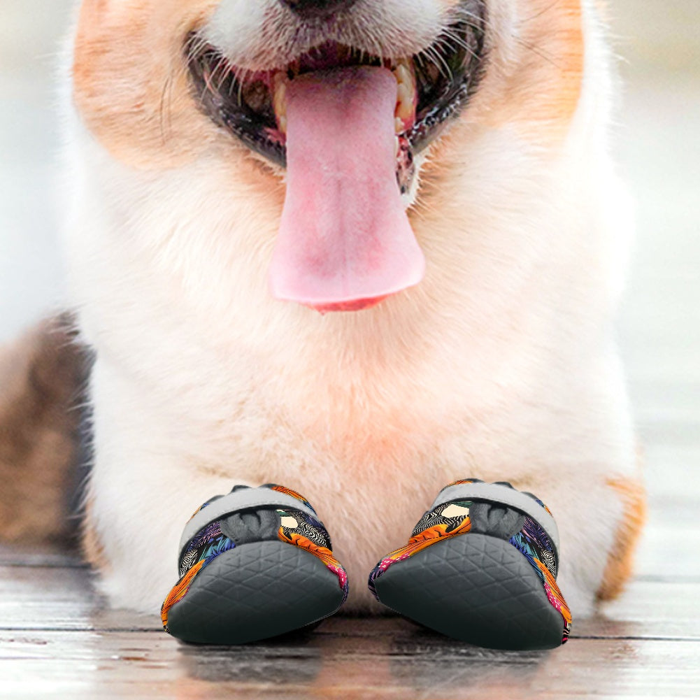 Dog Boots & Paw Protectors