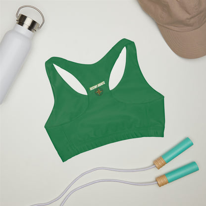 Destined For Greatness Girls' Double Lined Seamless Sports Bra (AOP) #1
