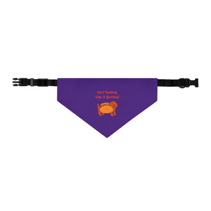 HotDog Pet Bandana Collar #HD3
