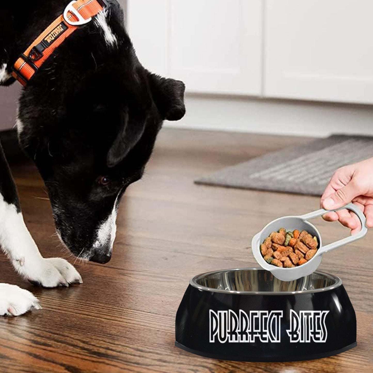 Purrfect Bites Pet Bowl Pet Bowl